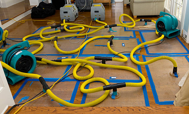 Professional Crawl Space Water Removal technician working in Logan, OH